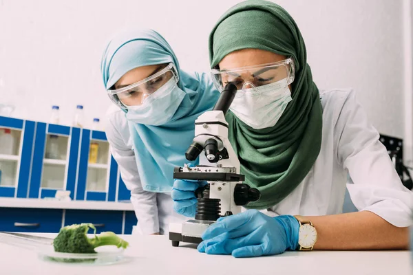 Muslimische Wissenschaftlerinnen unter dem Mikroskop während eines Experiments mit Brokkoli im Chemielabor — Stockfoto