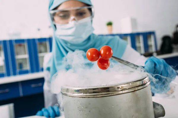 Female muslim scientist holding tomatoes with tweezers over pot with dry ice during experiment in lab — Stock Photo