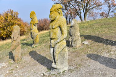 Polovtsian ve İskit taş idoller. Antik. Arkeoloji