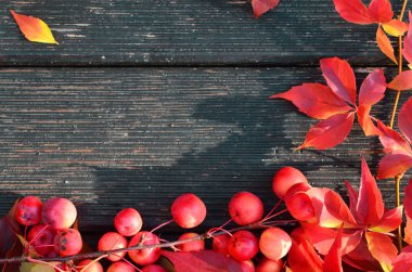 karanlık panoları bir arka plan üzerinde sonbahar yaprakları