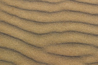 Kum dalgalı doku. Sandy beach arka plan için. Üstten görünüm. İspanya