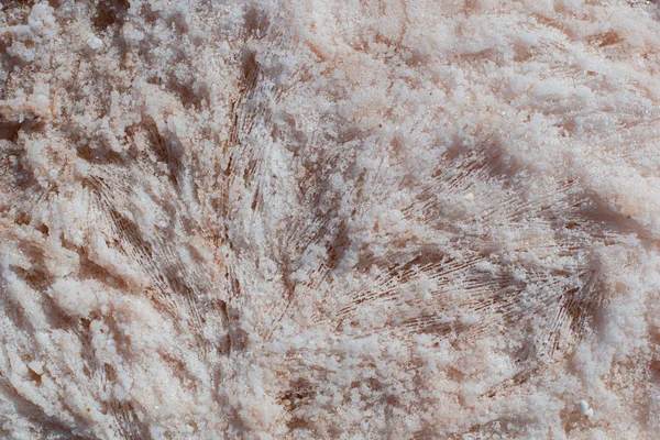 自然のピンクの塩の結晶テクスチャ マクロ ラメラ構造をクローズ アップ トレビエハ スペイン 塩辛い湖岸背景 — ストック写真