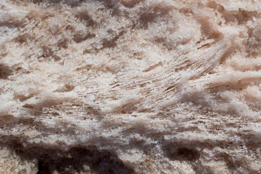 Doğal Pembe tuz kristal doku kum üzerinde makro, yakın çekim, lamel yapısı. Tuzlu göl kıyısında arka plan, İspanya, Torrevieja.