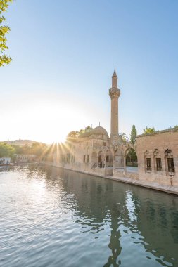 Halil-Ur Rahman Gölü veya adlandırılmış gezmeden Gol(fish lake), Şanlıurfa, Türkiye.