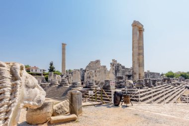 Aslan heykel ön plan ile Apollo Tapınağı, Didim, Didim, Aydın ilinin, Europe.22 Arkeoloji alanı için Ağustos 2017 görüntüleyin