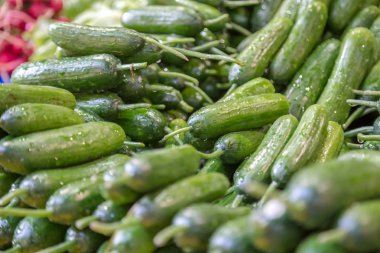 Birçok yeşil taze salatalık bir durak gıda bakkal satışa sunulmuştur
