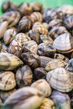 Arka plan yerel balık pazarında Satılık durak üzerinde taze yumuşak kelepçeler