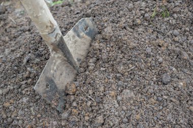 Kürek büyük yumuşak doğal toprak öbek üzerinde yerleştirilir. Toprakta eklenen bahçe aracı.