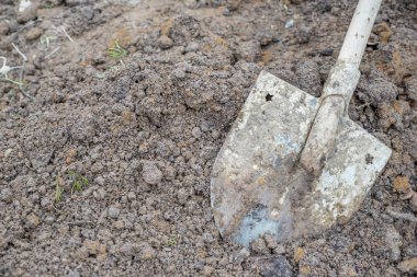 Kürek büyük yumuşak doğal toprak öbek üzerinde yerleştirilir. Toprakta eklenen bahçe aracı.
