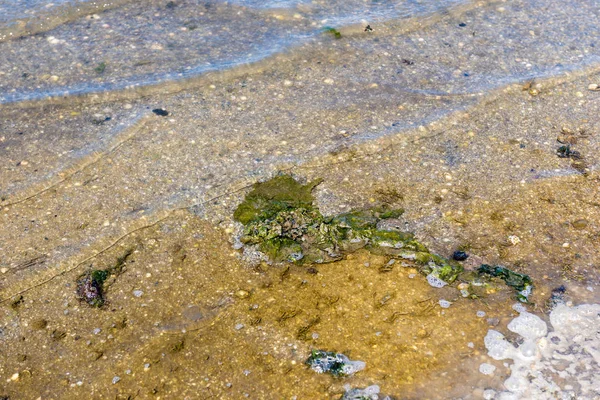 Avloppsvatten Miljöföroreningar Natur Smutsig Och Bubblor Vatten Bakgrund Vatten Förorening — Stockfoto