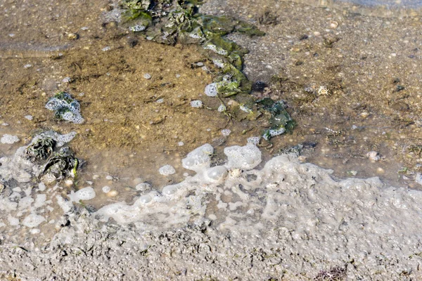 Contaminación Ambiental Las Aguas Residuales Naturaleza Sucio Burbujas Fondo Del — Foto de Stock