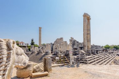 Didim, Didim, Aydın İli, Türkiye, Avrupa'nın arkeolojik alanda Apollon Tapınağı için ön plan üzerinde aslan heykeli ile görüntüleyin.