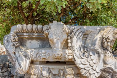 Boğa, Apollon Tapınağı arkeolojik alanda Didim, Didim, Aydın İli, Türkiye, Avrupa'nın başkanı taş.