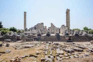 Didim, Didim, Aydın İli, Türkiye, Avrupa'nın arkeolojik alanda Apollon Tapınağı için görüntüleyin.