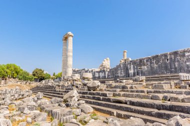 Didim, Didim, Aydın ilinin, Avrupa nın arkeolojik alanda Apollon Tapınağı, muhteşem mermer sütun sütun görünümünü.