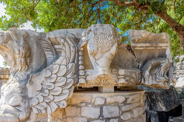 Cabeça Pedra Touro Templo Apolo Área Arqueológica Didim Didyma Província — Fotografia de Stock