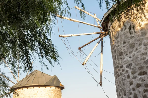古石风车在洁净蓝天背景下的近距离详细观察在土耳其伊兹密尔旅游和度假的热门目的地阿拉恰特镇 前景广阔的树木分支 — 图库照片