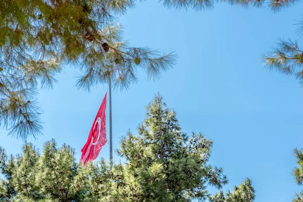 Török Zászló Canakkale Martyrs Memorial Katonai Temetőben Hogy Hősi Emlékmű — Stock Fotó