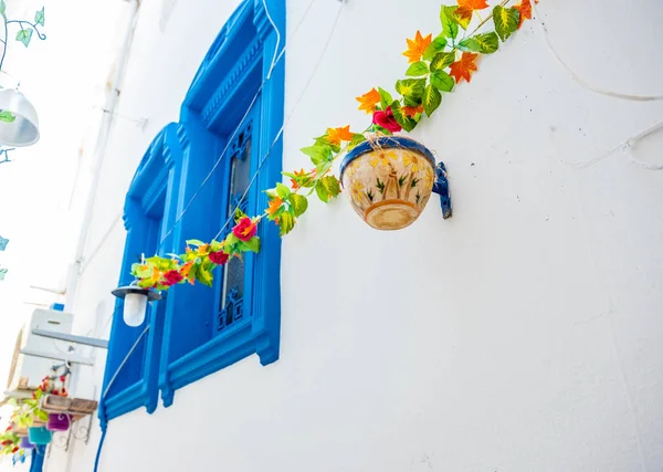 Bodrum Dar Sokaklarında Yunan Tarzı Bodrum Beyaz Evleri Olan Saksılar — Stok fotoğraf