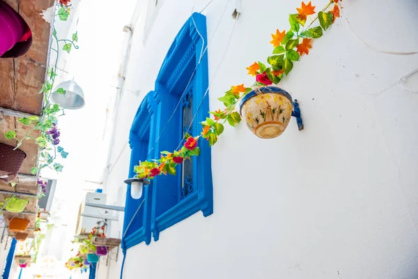 Bodrum Dar Sokaklarında Yunan Tarzı Bodrum Beyaz Evleri Olan Saksılar — Stok fotoğraf