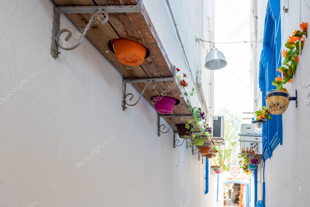 Flower pots on wall of narrow streets of Bodrum with white houses in Greek style Bodrum.Turkey.