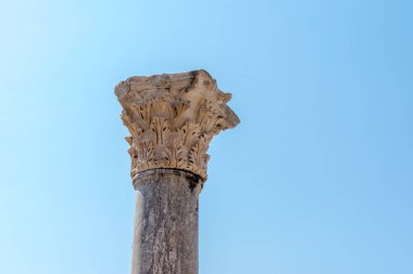 Mermer kabartmalar selçuk, Izmir, Türkiye'de Efes tarihi antik kenti.