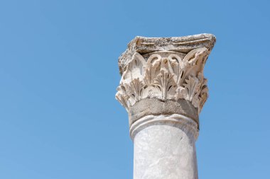 Mermer kabartmalar selçuk, Izmir, Türkiye'de Efes tarihi antik kenti.