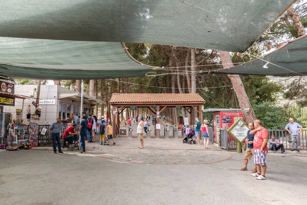 Selçuk Izmir Türkiye Ağustos 2017 Yılında Efes Tarihi Antik Kenti — Stok fotoğraf