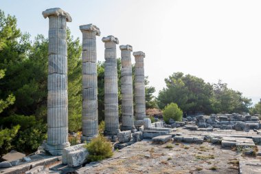 Antik Yunan şehir Priene, Söke, aydın, Türkiye'de Athena Tapınağı, mermer sütunlar