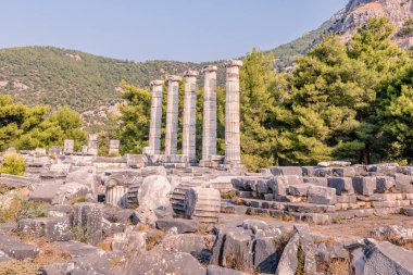 Antik Yunan şehir Priene, Söke, aydın, Türkiye'de Athena Tapınağı, mermer sütunlar