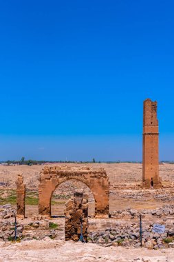 Harran Üniversitesi kalıntıları. Klasik revival tarzda inşa edilmiş şehrin ana Ayyubid binaların biriydi. Şanlıurfa, Türkiye