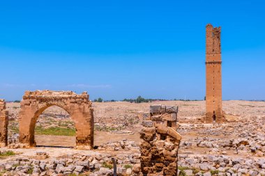 Harran Üniversitesi kalıntıları. Klasik revival tarzda inşa edilmiş şehrin ana Ayyubid binaların biriydi. Şanlıurfa, Türkiye