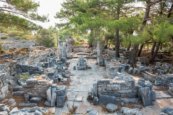 Santuario Atenea Antigua Ciudad Griega Priene Soke Aydin Turquía — Foto de Stock