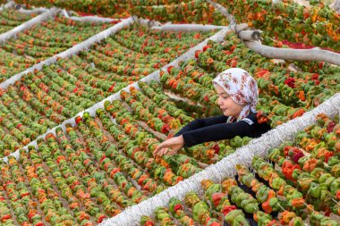Kimliği belirsiz kız Eylül 2016 sun,Gaziantep,Turkey.03 sürecinde kurutma için biber kilitleniyor