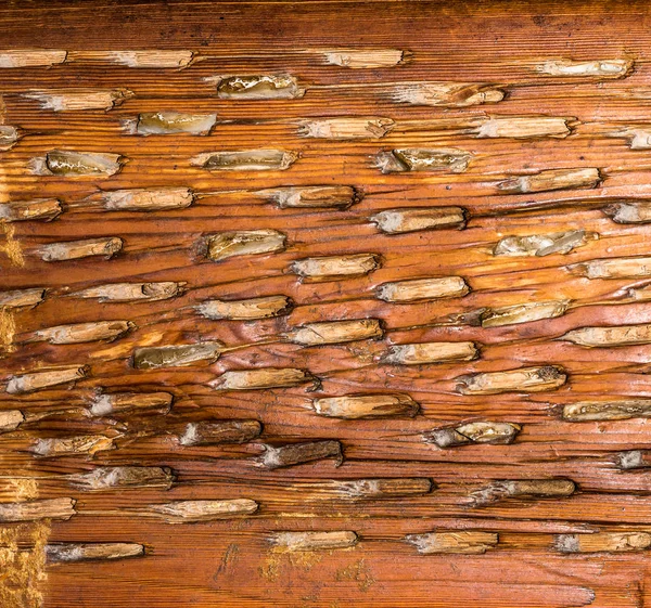 Zobrazit Staré Zvětralé Dřevo Grunge Texture Old Dřevěná Textura Pro — Stock fotografie
