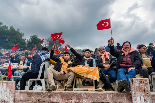 伝統的なラクダ レスリング フェスティバルの Selcuk アイドゥン、トルコで — ストック写真