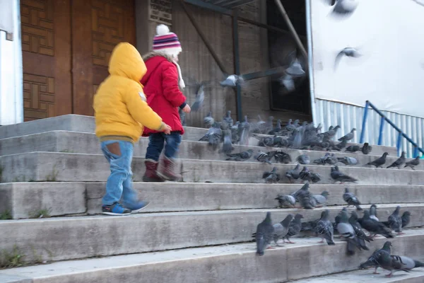 Istanbul Turquía Diciembre 2016 Niños Identificados Alimentan Palomas Nueva Mezquita —  Fotos de Stock