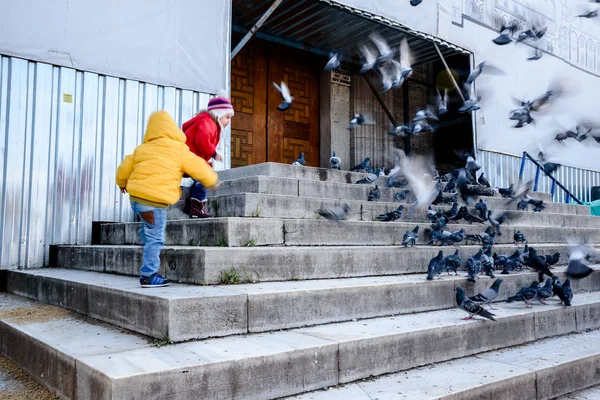 이스탄불 2016 어린이 새로운 Yeni Camii 비둘기 새로운 모스크는 1665 — 스톡 사진