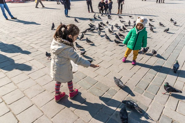 Istanbul Turquía Diciembre 2016 Niños Identificados Alimentan Palomas Nueva Mezquita — Foto de Stock