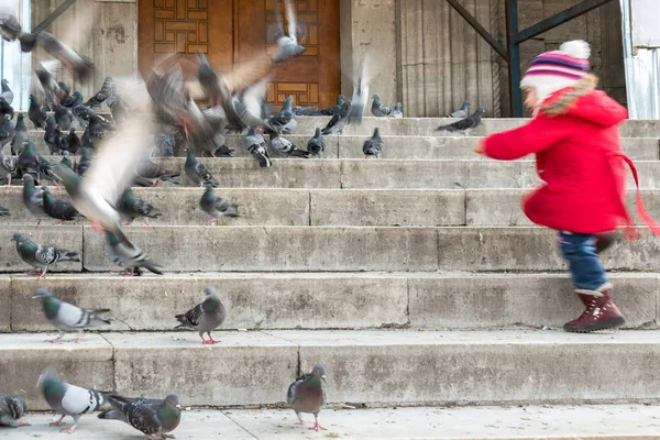 Istanbul Türkei 2016 Unbekannte Kinder Füttern Tauben Der Neuen Moschee — Stockfoto