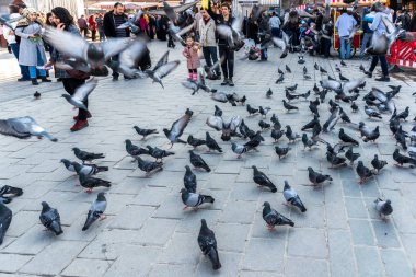 Güvercinler Yeni Camii (Yeni Camii) merdivenlerde. Yeni Camii İstanbul ' da bulunan 1665, tamamlanmış bir Osmanlı imparatorluk camiidir.