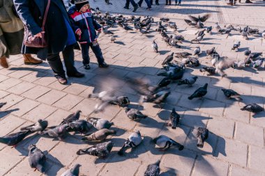 Istanbul/Türkiye-Aralık 24,2016: Yeni Camii (Yeni Camii) güvercinlerin tanımlanamayan Çocuk besleme. Yeni Camii İstanbul ' da bulunan 1665, tamamlanmış bir Osmanlı imparatorluk camiidir.