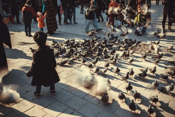 Istanbul Turkey December 2016 Unidentified Children Feed Pigeons New Mosque — Stock Photo, Image
