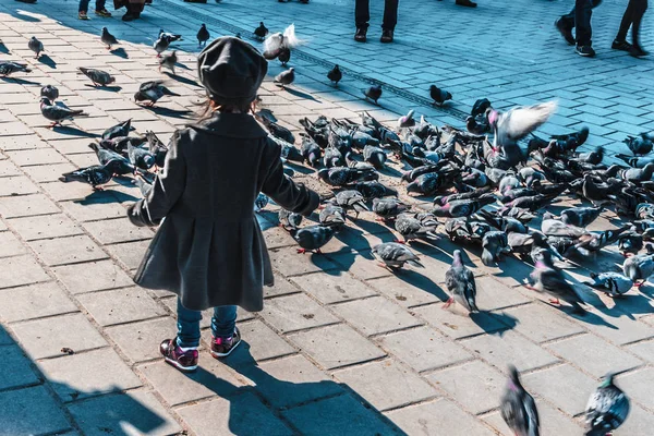 Istanbul Türkiye Aralık 2016 Yeni Camii Yeni Camii Güvercinlerin Tanımlanamayan — Stok fotoğraf