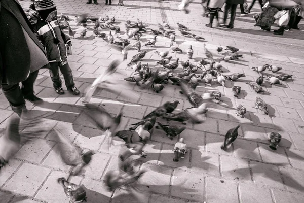 Istanbul Turkey December 2016 Unidentified Children Feed Pigeons New Mosque — стоковое фото