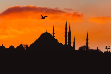 Istanbul/Türkiye-Aralık 24,2016: Yeni Camii (Yeni Camii). Yeni Camii İstanbul ' da bulunan 1665, tamamlanmış bir Osmanlı imparatorluk camiidir