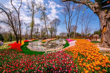 Emirgan Parkı, Sarıyer semtinde yer alan tarihi bir kent parkı geleneksel Lale Festivali. Turistler ve yerliler için ziyaret edin ve zaman harcamak. Istanbul,Turkey.15 Nisan, 2017