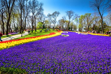 Emirgan Parkı, Sarıyer semtinde yer alan tarihi bir kent parkı geleneksel Lale Festivali. Turistler ve yerliler için ziyaret edin ve zaman harcamak. Istanbul,Turkey.15 Nisan, 2017