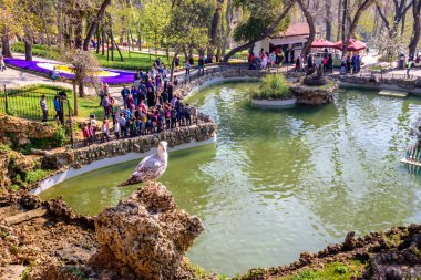 Emirgan Parkı martı ve ön plan, Sarıyer semtinde yer alan tarihi bir kent parkı gölde ile geleneksel Lale Festivali. Turistler ve yerliler için ziyaret edin ve zaman harcamak. Istanbul,Turkey.15 Nisan, 2017l