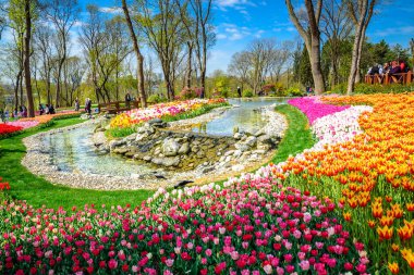 Traditional Tulip Festival in Emirgan Park, a historical urban park located in Sariyer district.Tourists and locals visit and spend time.Istanbul,Turkey.15 April,2017 clipart